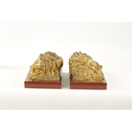 983 - A PAIR OF LATE 19TH CENTURY GILT BRONZE RECUMBENT LIONS mounted on marble plinths (30.5cm wide 16.5c... 