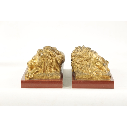 983 - A PAIR OF LATE 19TH CENTURY GILT BRONZE RECUMBENT LIONS mounted on marble plinths (30.5cm wide 16.5c... 