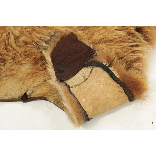 988 - A 19TH CENTURY TAXIDERMY BLONDE BEAR SKIN RUG (193cm wide 150cm wide )