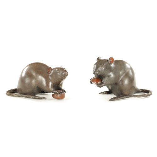 104 - A PAIR OF JAPANESE MEIJI PERIOD LIFE-SIZE PATINATED BRONZE RATS both in slightly different poses hol... 