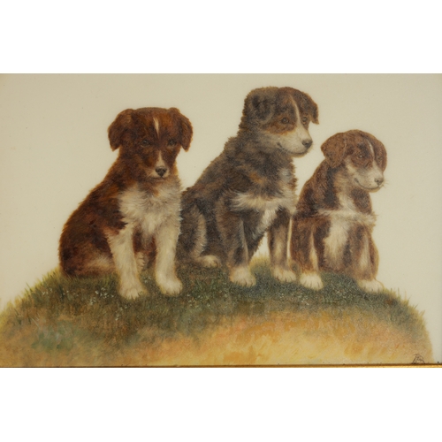 34 - BESSIE BAMBER (1970-1810) A RARE PAIR OF EARLY 20TH CENTURY HANGING PLAQUES PAINTED WITH PUPPIES dep... 