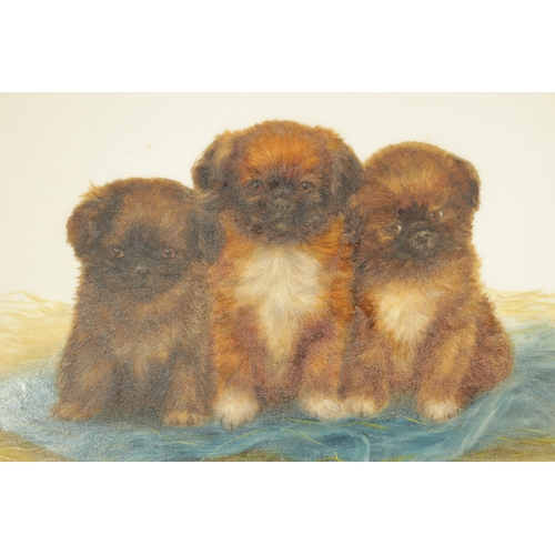 34 - BESSIE BAMBER (1970-1810) A RARE PAIR OF EARLY 20TH CENTURY HANGING PLAQUES PAINTED WITH PUPPIES dep... 