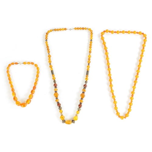 391 - A COLLECTION OF 3 AMBER NECKLACES of variated shapes and sizes 176g total. (84cm, 40cm and 90cm leng... 