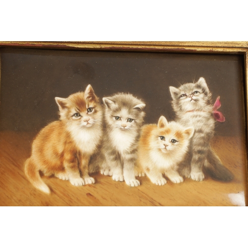 40 - A LATE 19TH CENTURY BERLIN KPM PORCELAIN PLAQUE SIGNED WAGNER Four kittens sitting on a wooden floor... 