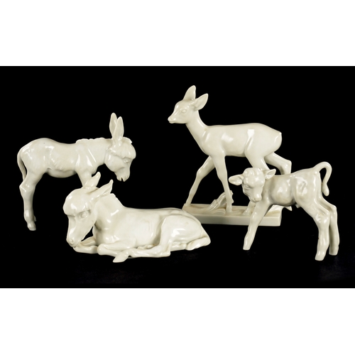 71 - A GROUP OF FOUR MEISSEN BLANC DI CHINE ANIMAL FIGURES comprising a fawn, calf, recumbent and standin... 