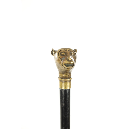 732 - A LATE 19TH CENTURY BRASS AND EBONY WALKING STICK with brass cast monkey head pommel (93cm overall )