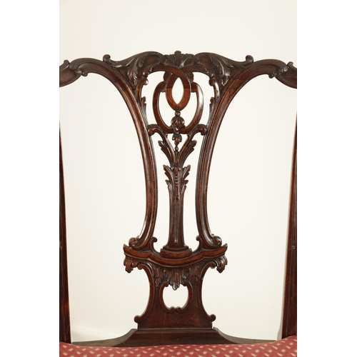 1425 - A PAIR OF GEORGE II CHIPPENDALE STYLE MAHOGANY SIDE CHAIRS with leaf-carved pierced backs, upholster... 