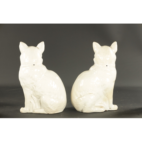 162 - A PAIR OF LATE 19TH CENTURY SCOTTISH POTTERY CATS with glass eyes and gilt collars. (31cm high )