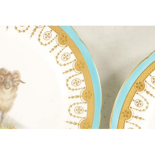 363 - A PAIR OF MINTON LATE 19TH CENTURY PORCELAIN PLATES painted with sheep, probably by Henry Mitchell. ... 