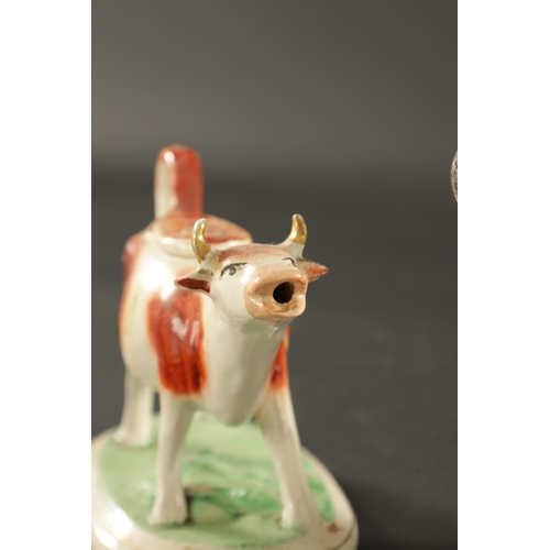 85 - A COLLECTION OF LATE 19TH CENTURY STAFFORDSHIRE POTTERY COW CREAMERS (20cm across and smaller)