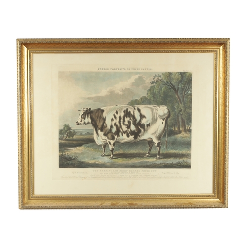 757 - FORE’S PORTRAITS OF PRIZE CATTLE - PLATE 10 The Everingham Short Horned prize cow - a coloured print... 