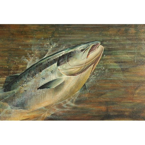 764 - CHRIS SHARP. AN OIL ON CANVAS ‘LEAPING SALMON’ - signed moulded ebonised frame. (59cm high 88.5cm wi... 