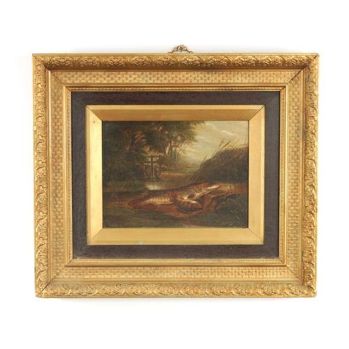 765 - A 19TH CENTURY OIL ON CANVAS CATCH OF THE DAY ON A RIVER BANK - signed, mounted in gilt moulded fram... 