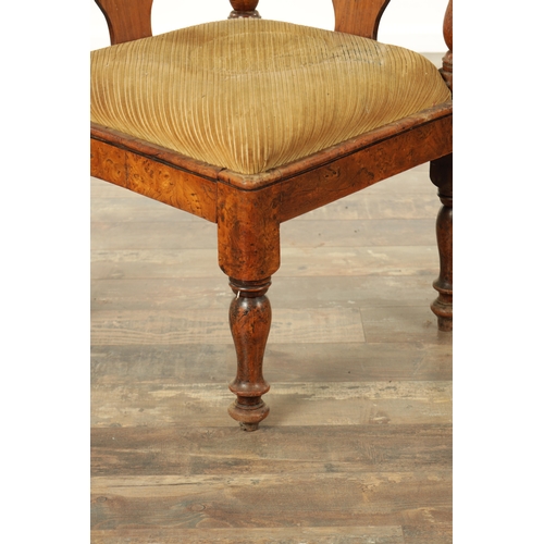 824 - A GOOD 19TH CENTURY BURR ELM CORNER CHAIR with scrolled top rail and tuned supports; above a drop-in... 