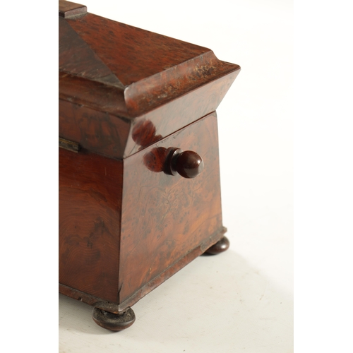 735 - AN EARLY 19TH CENTURY REGENCY BURR YEW-WOOD SARCOPHAGUS SHAPED TEA-CADDY with fitted interior