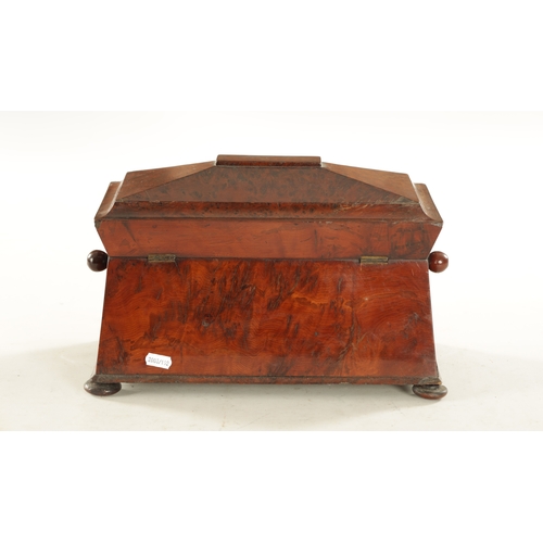 735 - AN EARLY 19TH CENTURY REGENCY BURR YEW-WOOD SARCOPHAGUS SHAPED TEA-CADDY with fitted interior