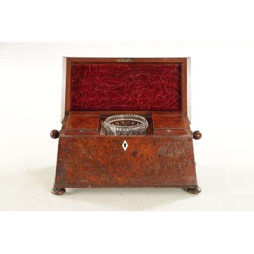 735 - AN EARLY 19TH CENTURY REGENCY BURR YEW-WOOD SARCOPHAGUS SHAPED TEA-CADDY with fitted interior