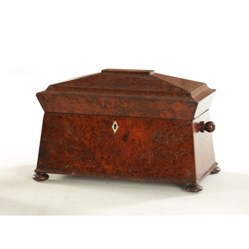 735 - AN EARLY 19TH CENTURY REGENCY BURR YEW-WOOD SARCOPHAGUS SHAPED TEA-CADDY with fitted interior