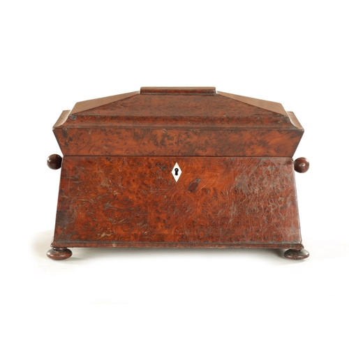 735 - AN EARLY 19TH CENTURY REGENCY BURR YEW-WOOD SARCOPHAGUS SHAPED TEA-CADDY with fitted interior