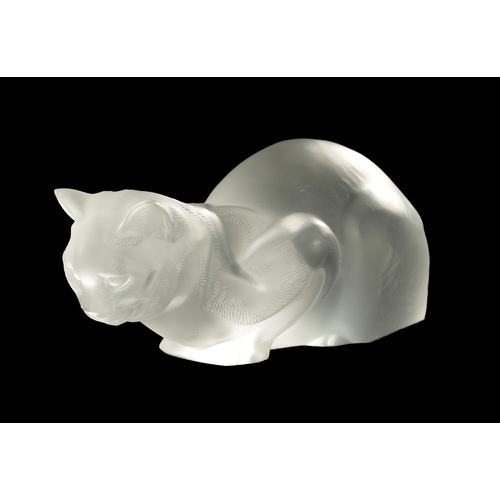 14 - A 20TH CENTURY LALIQUE GLASS SCULPTURE OF A SEATED CAT etched signature 'LALIQUE' (24cm wide)