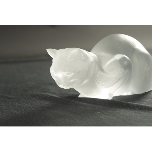 14 - A 20TH CENTURY LALIQUE GLASS SCULPTURE OF A SEATED CAT etched signature 'LALIQUE' (24cm wide)