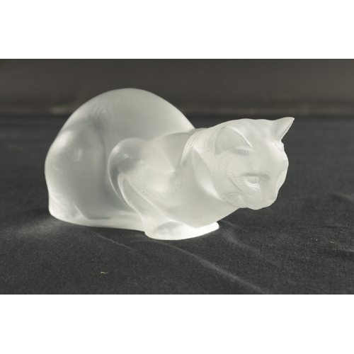 14 - A 20TH CENTURY LALIQUE GLASS SCULPTURE OF A SEATED CAT etched signature 'LALIQUE' (24cm wide)