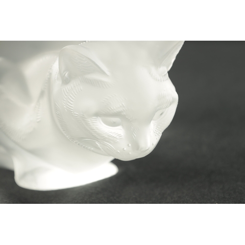 14 - A 20TH CENTURY LALIQUE GLASS SCULPTURE OF A SEATED CAT etched signature 'LALIQUE' (24cm wide)