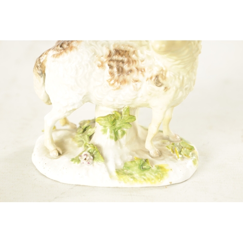 30 - A MID 18TH CENTURY MEISSEN STANDING FIGURE OF A SHEEP on an oval encrusted leaf spray stump base. (1... 