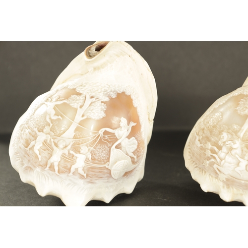 667 - A PAIR OF LATE 19TH CENTURY CARVED CAMEO SEA SHELLS the bodies with mythological scenes of land and ... 