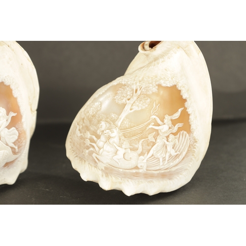 667 - A PAIR OF LATE 19TH CENTURY CARVED CAMEO SEA SHELLS the bodies with mythological scenes of land and ... 