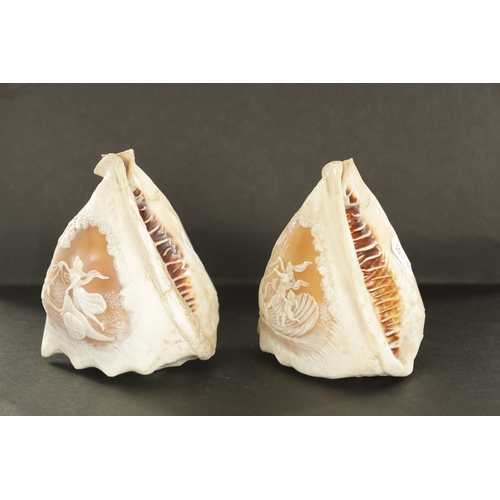 667 - A PAIR OF LATE 19TH CENTURY CARVED CAMEO SEA SHELLS the bodies with mythological scenes of land and ... 