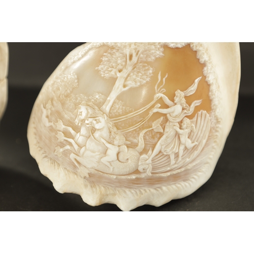 667 - A PAIR OF LATE 19TH CENTURY CARVED CAMEO SEA SHELLS the bodies with mythological scenes of land and ... 