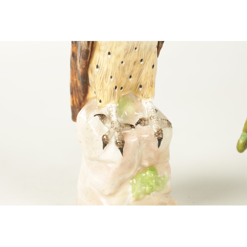 100 - TWO 19TH CENTURY ERNST BOHNE & SOHNE PORCELAIN SCULPTURES OF BIRDS comprising of an Owl and Budgerig... 