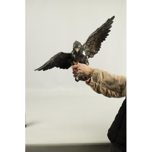 214 - A JAPANESE MEIJI PERIOD SILVERED BRONZE EAGLE SIGNED MASATSUNE realistically sculptured in a hoverin... 