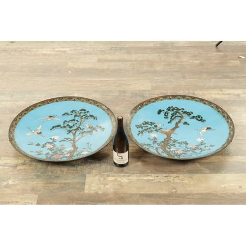 248 - A FINE PAIR OF JAPANESE MEIJI CLOISONNE ENAMEL CHARGERS OF LARGE SIZE the multicoloured scrolled edg... 