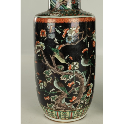 255 - A PAIR OF LATE 19TH CENTURY CHINESE FAMILLE NOIRE VASES decorated with birds amongst blossoming tree... 