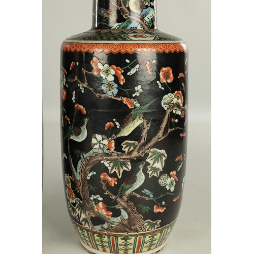 255 - A PAIR OF LATE 19TH CENTURY CHINESE FAMILLE NOIRE VASES decorated with birds amongst blossoming tree... 