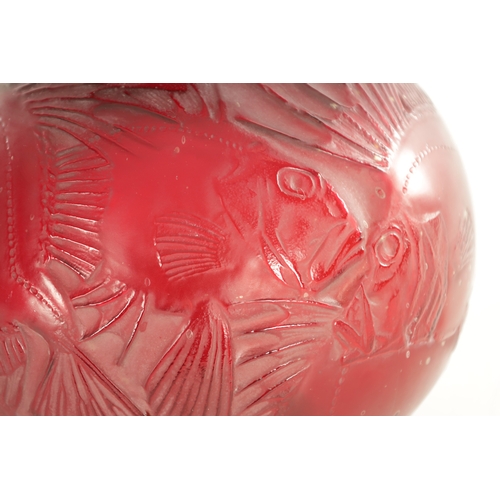 35 - A RENE LALIQUE CASE CHERRY RED AND AMBER GLASS 'POISSONS' GLOBULAR VASE of bulbous form with collare... 