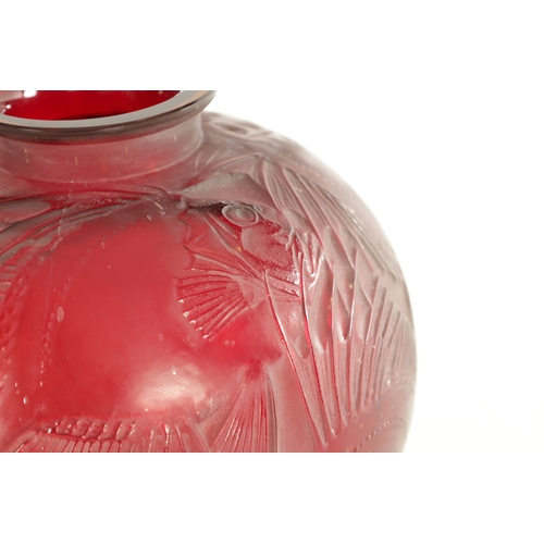 35 - A RENE LALIQUE CASE CHERRY RED AND AMBER GLASS 'POISSONS' GLOBULAR VASE of bulbous form with collare... 