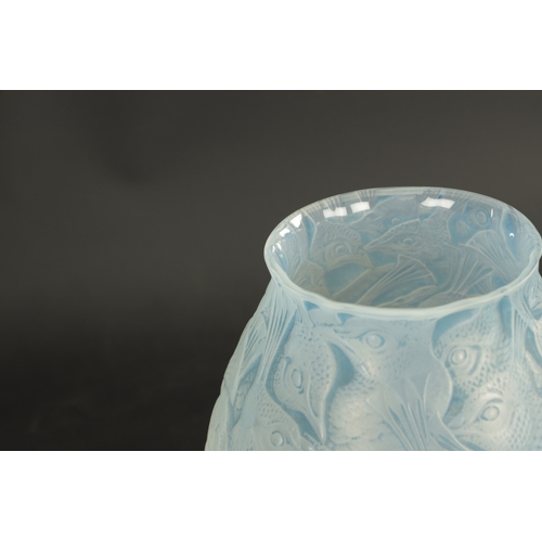 37 - A RENE LALIQUE OPALESCENT AND BLUE STAINED 'BORROMEE' VASE of ovoid form embossed with peacock head ... 