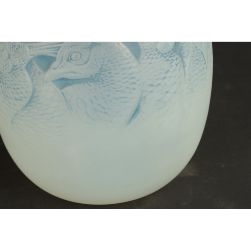 37 - A RENE LALIQUE OPALESCENT AND BLUE STAINED 'BORROMEE' VASE of ovoid form embossed with peacock head ... 