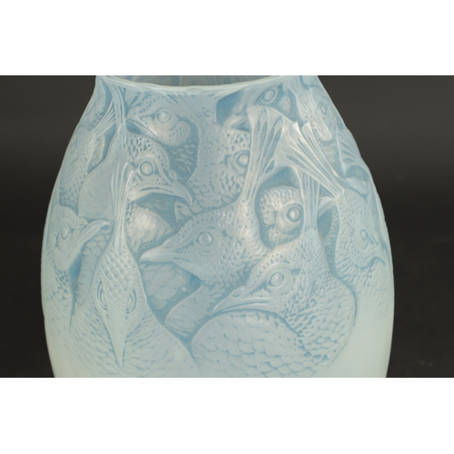 37 - A RENE LALIQUE OPALESCENT AND BLUE STAINED 'BORROMEE' VASE of ovoid form embossed with peacock head ... 