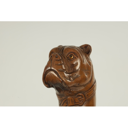 489 - A LATE 19TH CENTURY BAMBOO AND CARVED DOGS HEAD WALKING STICK with bulldog handle having glass eyes ... 