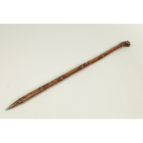 489 - A LATE 19TH CENTURY BAMBOO AND CARVED DOGS HEAD WALKING STICK with bulldog handle having glass eyes ... 