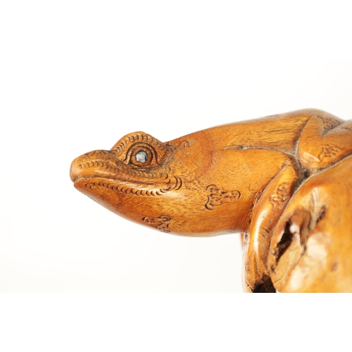 490 - AN UNUSUAL 20TH CENTURY LARGE CARVED ROOT WOOD AND CORK WALKING STICK modelled as a frog seated on l... 