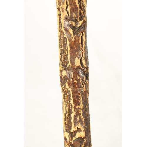 490 - AN UNUSUAL 20TH CENTURY LARGE CARVED ROOT WOOD AND CORK WALKING STICK modelled as a frog seated on l... 