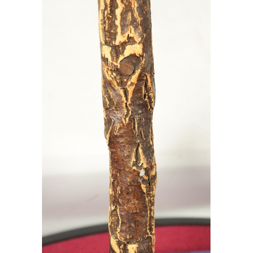 490 - AN UNUSUAL 20TH CENTURY LARGE CARVED ROOT WOOD AND CORK WALKING STICK modelled as a frog seated on l... 