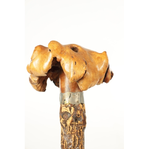 490 - AN UNUSUAL 20TH CENTURY LARGE CARVED ROOT WOOD AND CORK WALKING STICK modelled as a frog seated on l... 