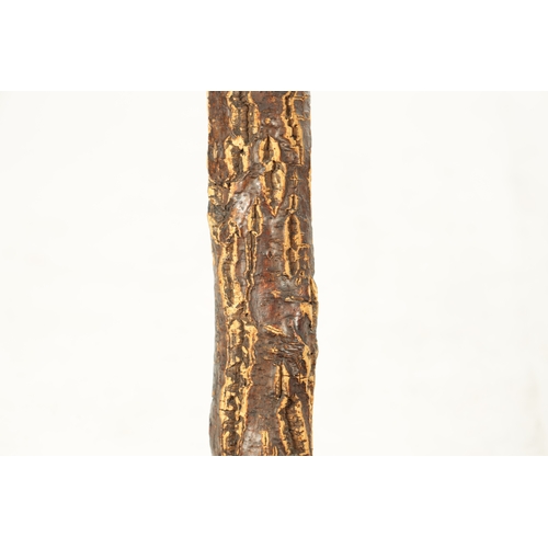 490 - AN UNUSUAL 20TH CENTURY LARGE CARVED ROOT WOOD AND CORK WALKING STICK modelled as a frog seated on l... 