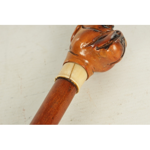 493 - A LATE 19TH CENTURY BOXWOOD CARVED BULLDOG HANDLED WALKING STICK WITH ENCLOSED OPIUM PIPE having har... 